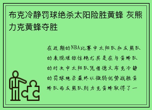 布克冷静罚球绝杀太阳险胜黄蜂 灰熊力克黄蜂夺胜