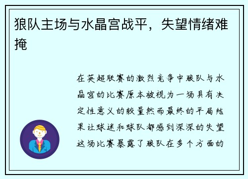 狼队主场与水晶宫战平，失望情绪难掩